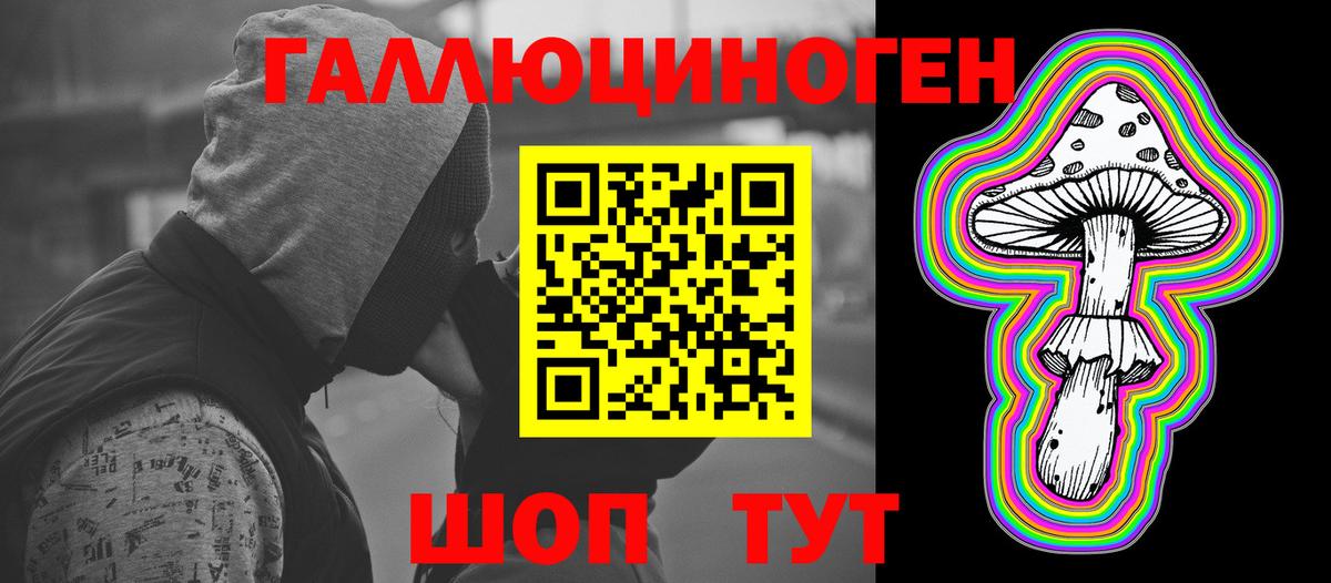 Псилоцибиновые грибы Psilocybe Россия